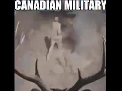 Blursed_Military