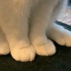 Touchin them beans