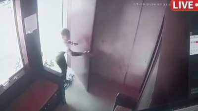 Boy keeps his composure and smoothly locks the leopard in the room