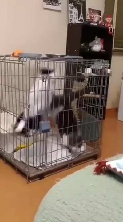 Круго<wbr>ворот