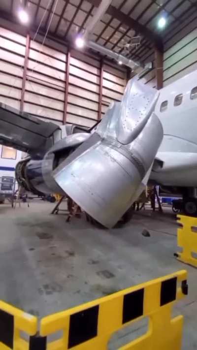 Boeing 737 Reverse Thrust