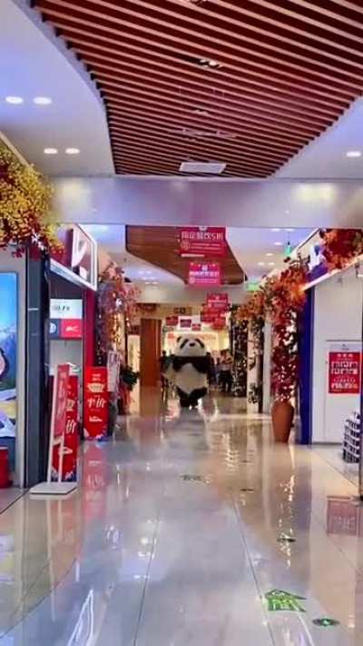 Kang fu Panda!!