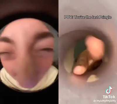 Last Pringle