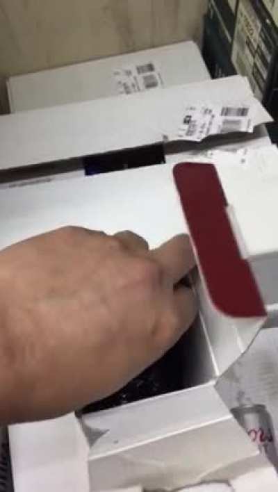 Beyler sizce nasıl ?