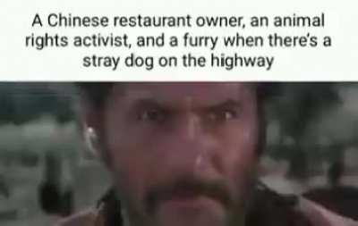 poor dog
