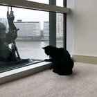 It’s important to enjoy what you do!❤️🐱