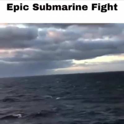 Such an epic fight