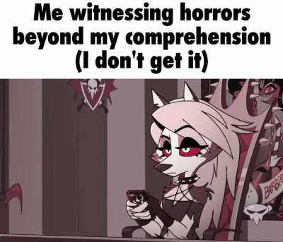 I don't understand 