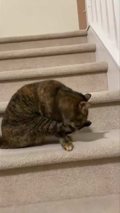Coming down stairs with style