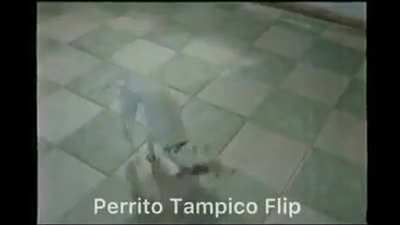 Perrito tampico flip
