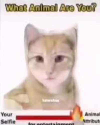cum³