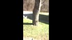 Man Goes Off On A Registered Sex Offender For Trying To Talk To His 6-Year Old Daughter!