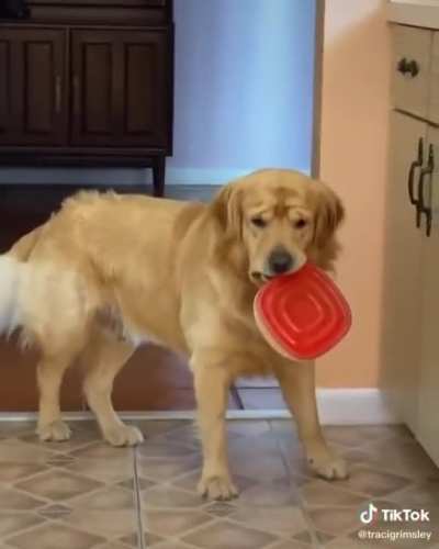 Maybe Maybe Maybe