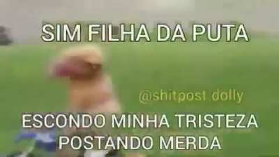 Fazer oq neh :v