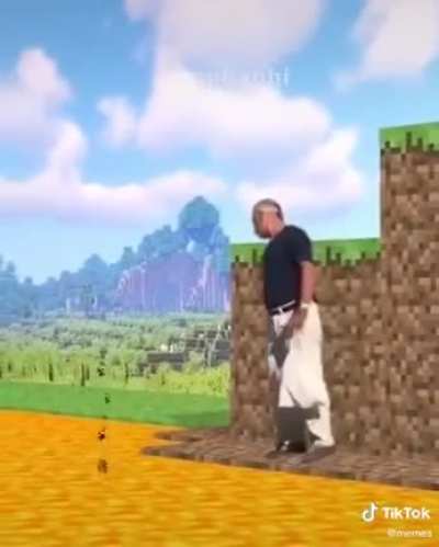 viniccius13 dad