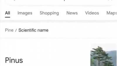 Did you know?