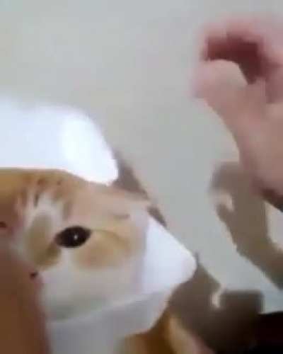 <