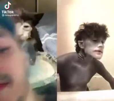 Spot the difference