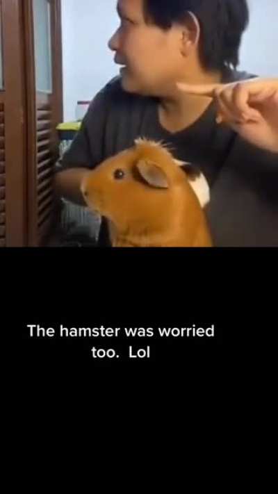 Title