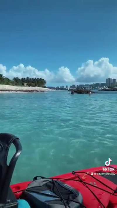Follow adventuresguy on Tiktok 🤙🏾🏝