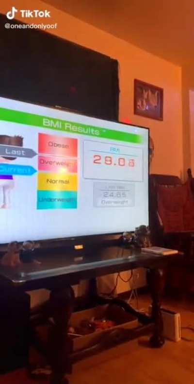 Wii Fit