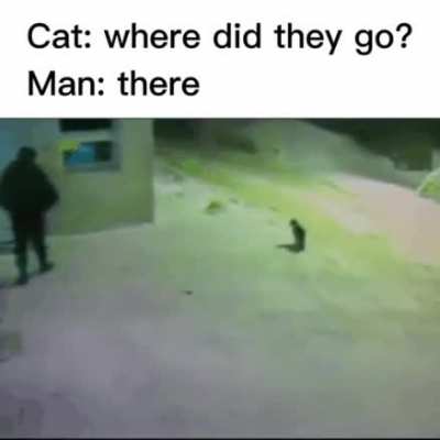 Cat🤝Man