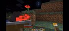 Don’t look at endermen pt 2 ft welyn