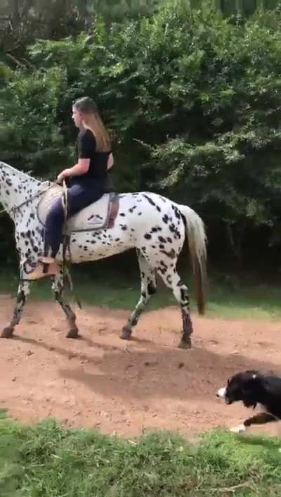 I think im going to buy her!! what do we think??