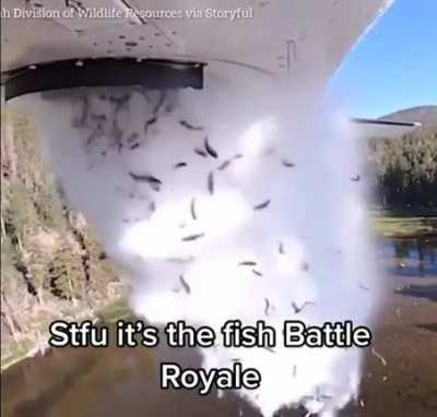 Cannot wait to see who wins