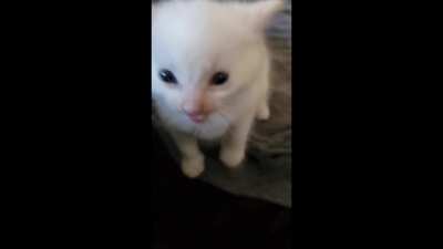 HIIII