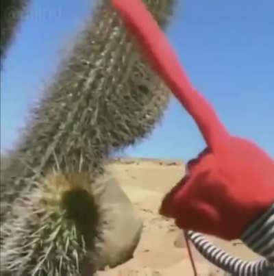 AAA-