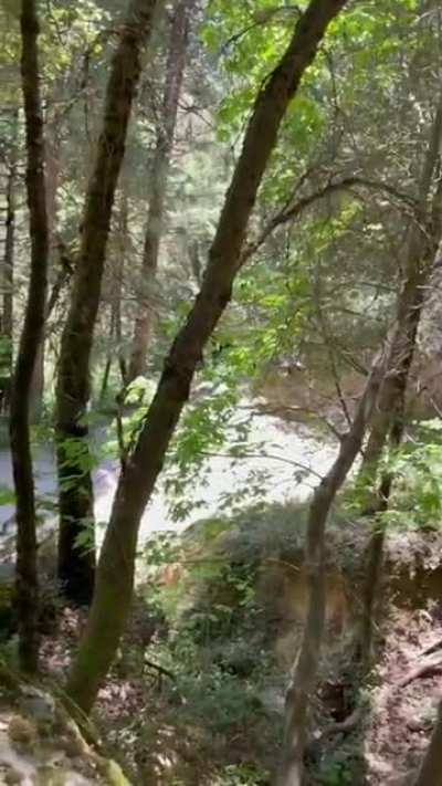 A trail quickie 🤫
