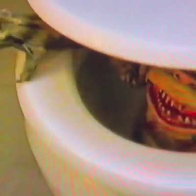 It's in the toilet