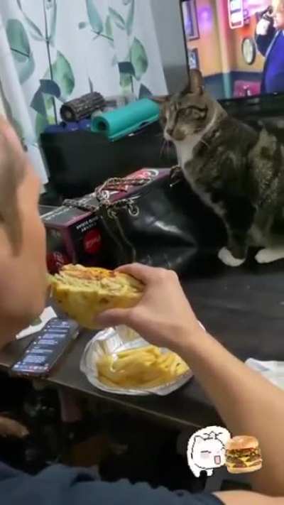 He'll eat that sandwich out of your cold dead hands