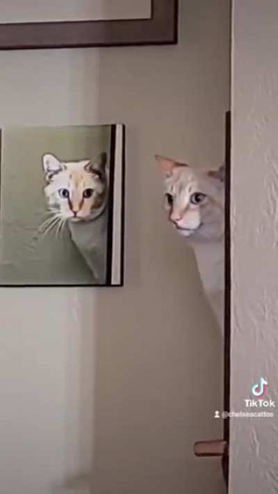 A glitch in the matrix...