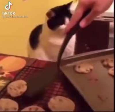 D: