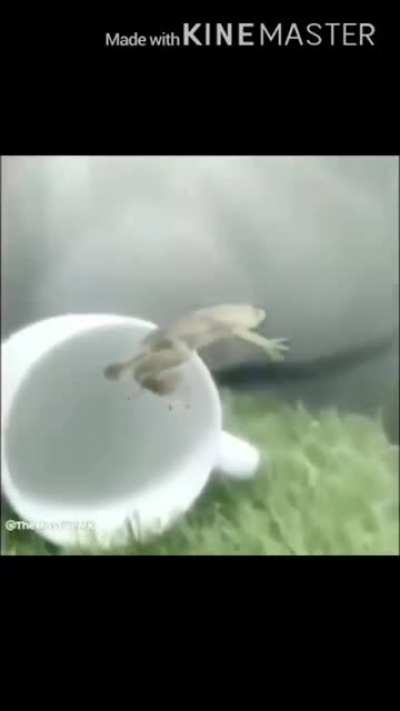 cursed_ᗩᗩᗩᗩᗩ