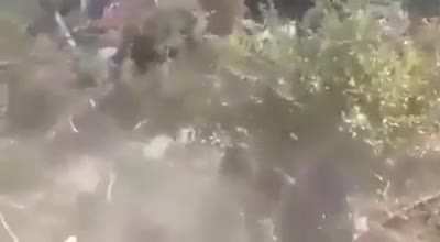 Лучше места для учебной езды не нашли