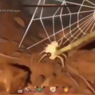 Australian lore