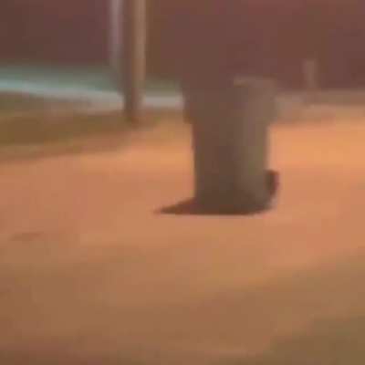 Firework Trashcan