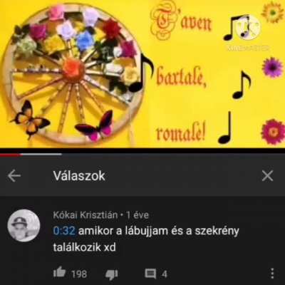 cigány zene szteroidokon
