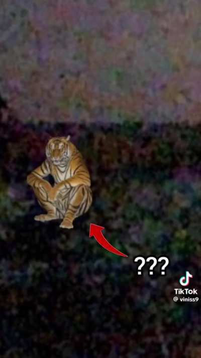 ai q medo