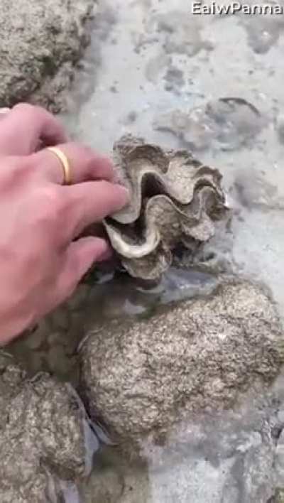 Watch your finger.