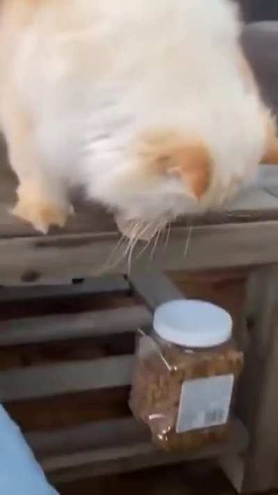 I touch tha treat