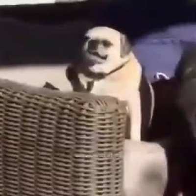 🙂