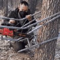 Using A Climbing Tree Stand