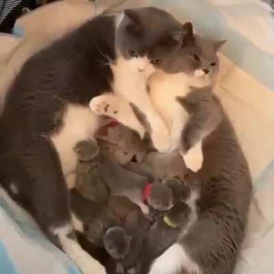 Super precious.