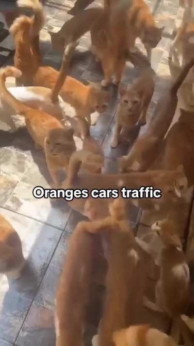Must be rush hour