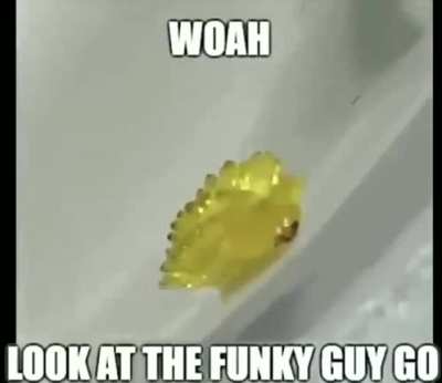 gummy worm my beloved
