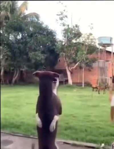 Kkkkkk